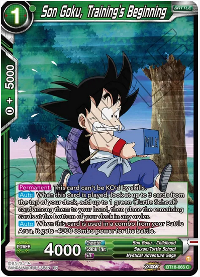 Son Goku, Training's Beginning FOIL