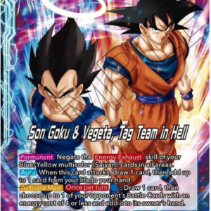Son Goku // Son Goku & Vegeta, Tag Team in Hell